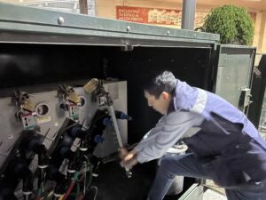 seccionador pedestal subterráneo